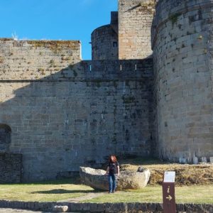 450611568_908455674648246_1998901604038058216_n